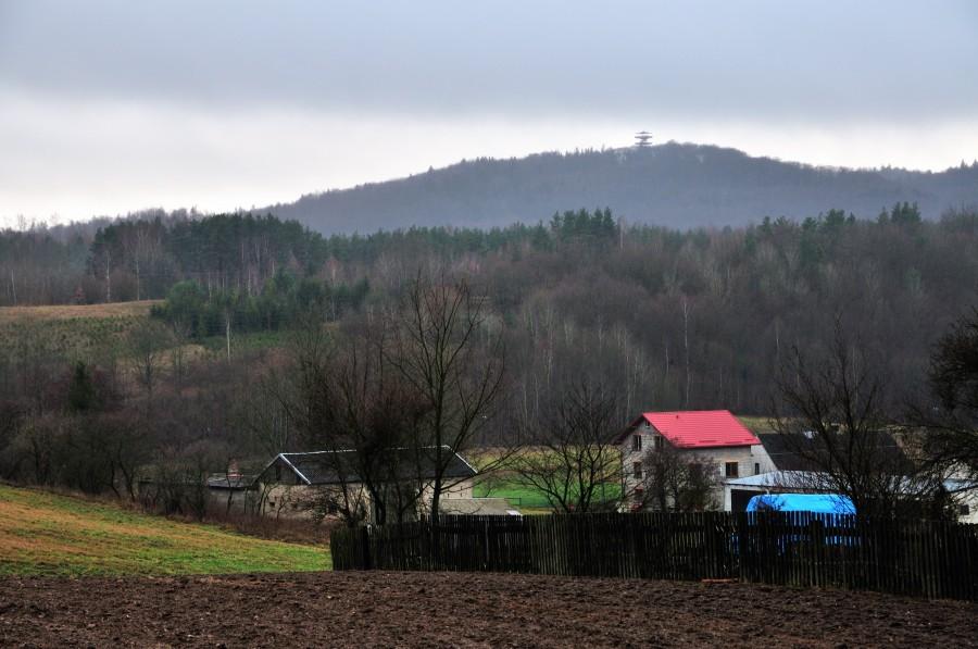 Wieżyca widziana z Wieżycy