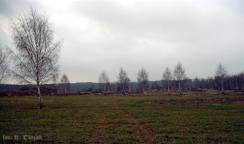 Tu będzie miasto
