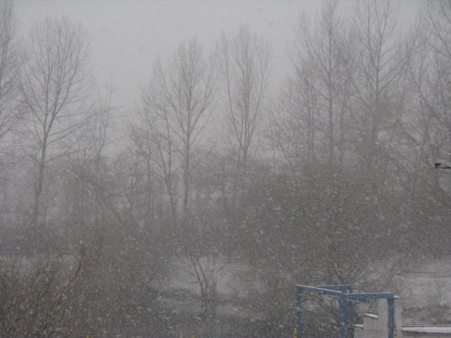 Pada śnieg, pada śnieg... a ja nie mam dzwonkka u roweru