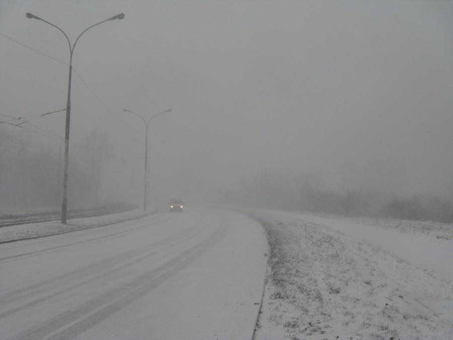 Śnieżyca