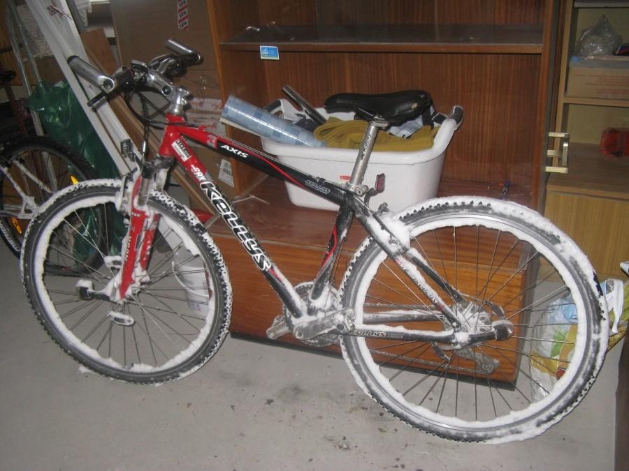 Snow bike