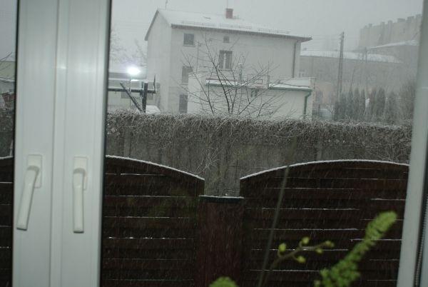 śnieg, a nawet grad //z domowego okienka//