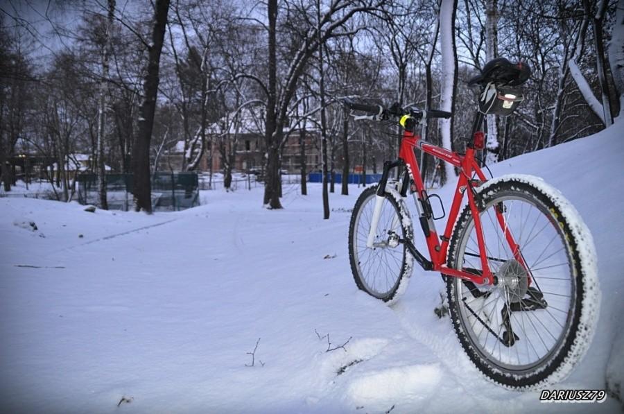 Bike w parku schena
