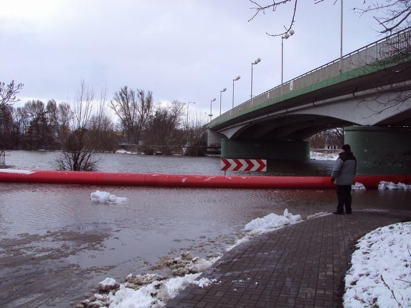Cofka na rzece Elbląg.