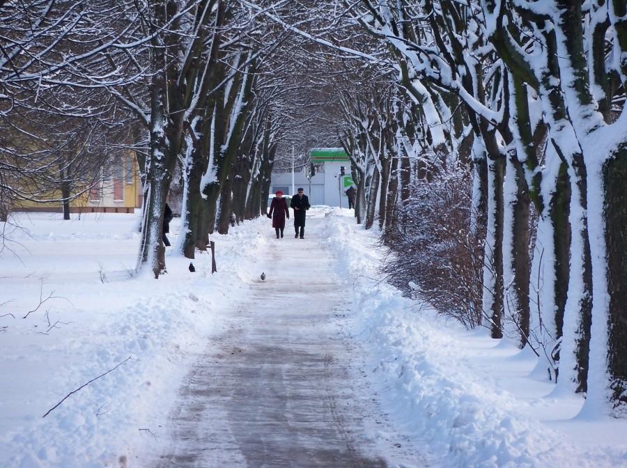 ELBLĄG - ZIMA 2012