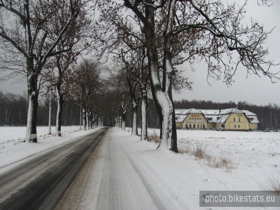 za tym domkirm białym szybki asfalt