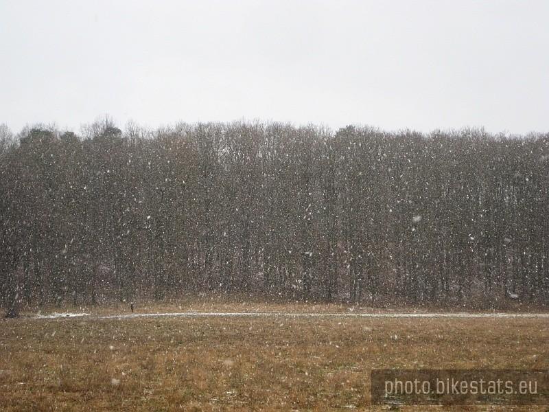 Dębogóra i padający śnieg.