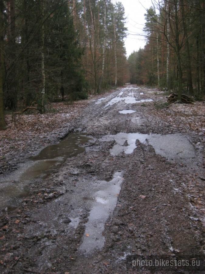 błotniste drogi leśne