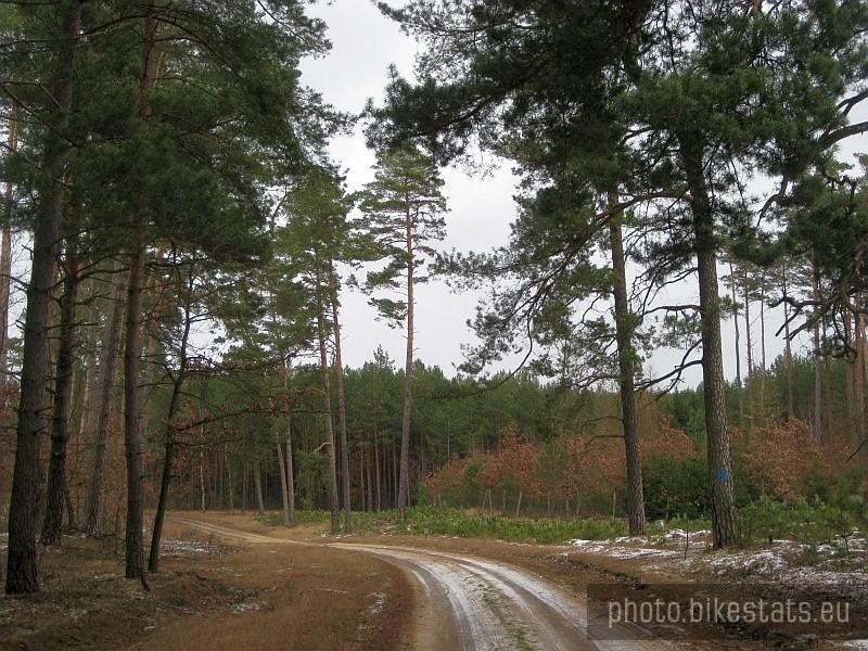puszczańskie szlaki rowerowe - okolice Czernic