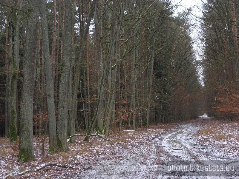 Fragment Dużego Pierścienia Rowerowego do Dąbrówki Kościelnej