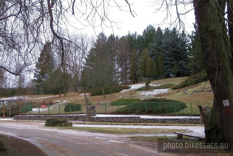 fragment Arboretum Leśnego w Zielonce