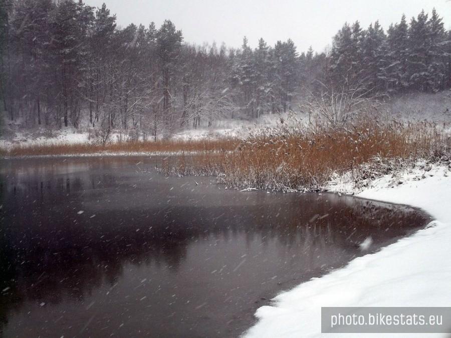 Malowniczo nad Jeziorem Rokickim