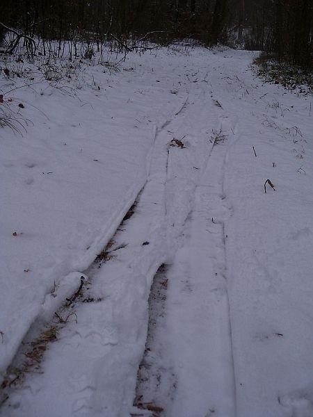 Dwa centymetry śniegu i biegówki(?), szacunek :)