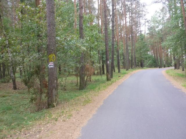 Na Szlaku Komputerków w pobliżu Jeziora Piecki