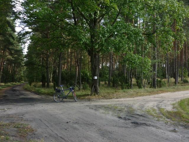 Tu zbiegają się trzy szlaki