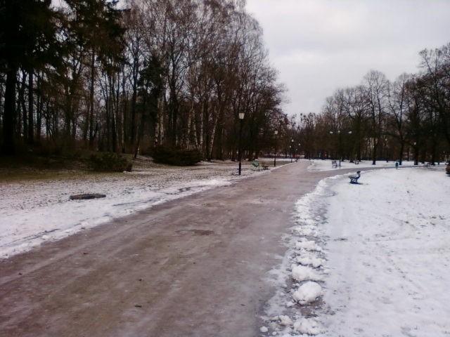 Oblodzenie w parku