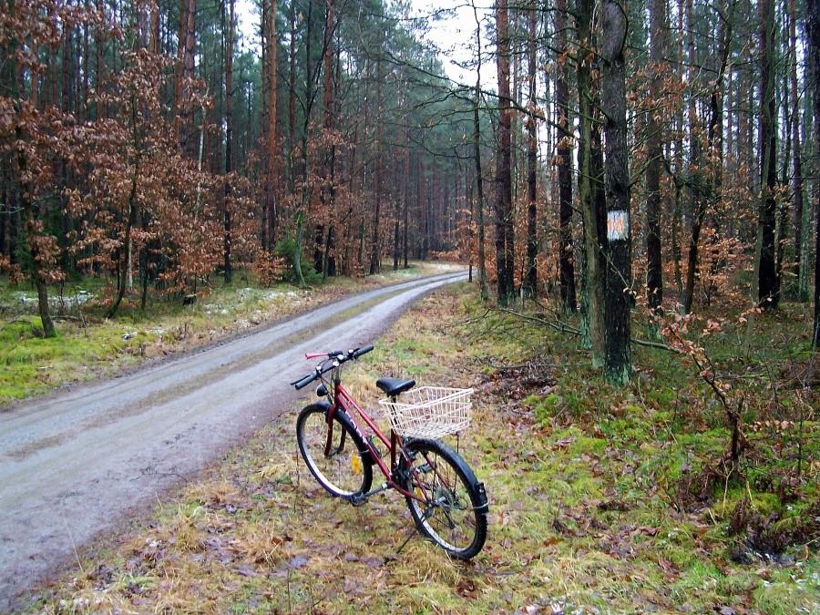 Szutrówka - Misiacz Route No. 14.