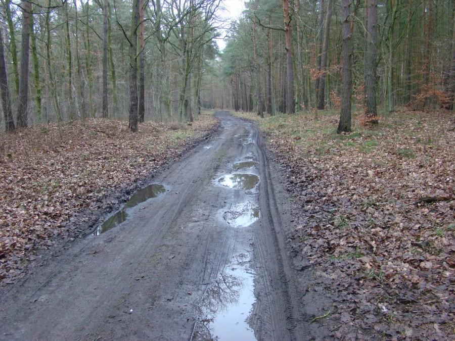 "Ulica " w miescie Szczecinie gdzieś między Dabiem a Wielgowem.