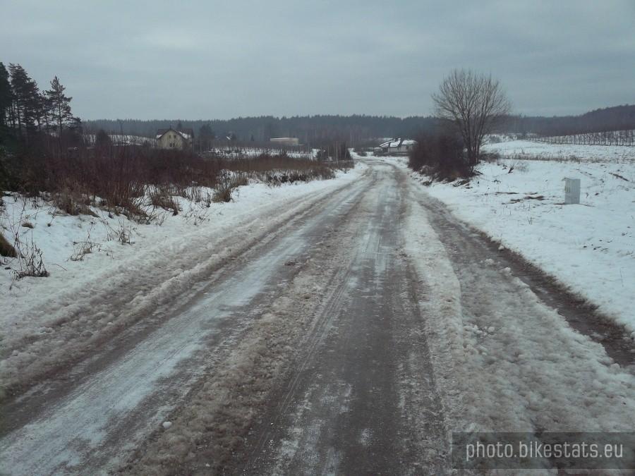 Śliwiny
