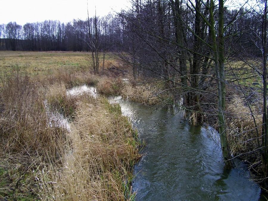 Struga łącząca j. Breń i j. Wielkie Wyrwy.