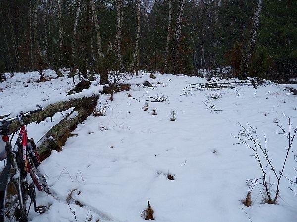 Na niebieskim szlaku, na szczęście obok była bardziej wyjeżdżona droga, gdzie w porywach można było pędzić 15 km/h :P