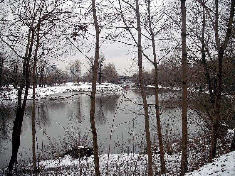 Widok na stocznię