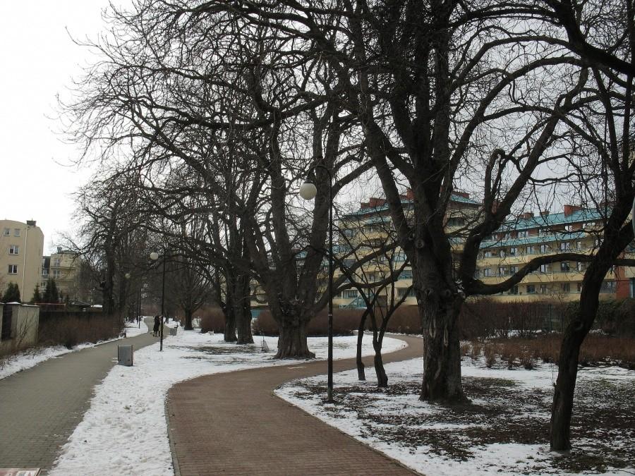Ursynów - ścieżka rowerowa przy ul. Villardczyków