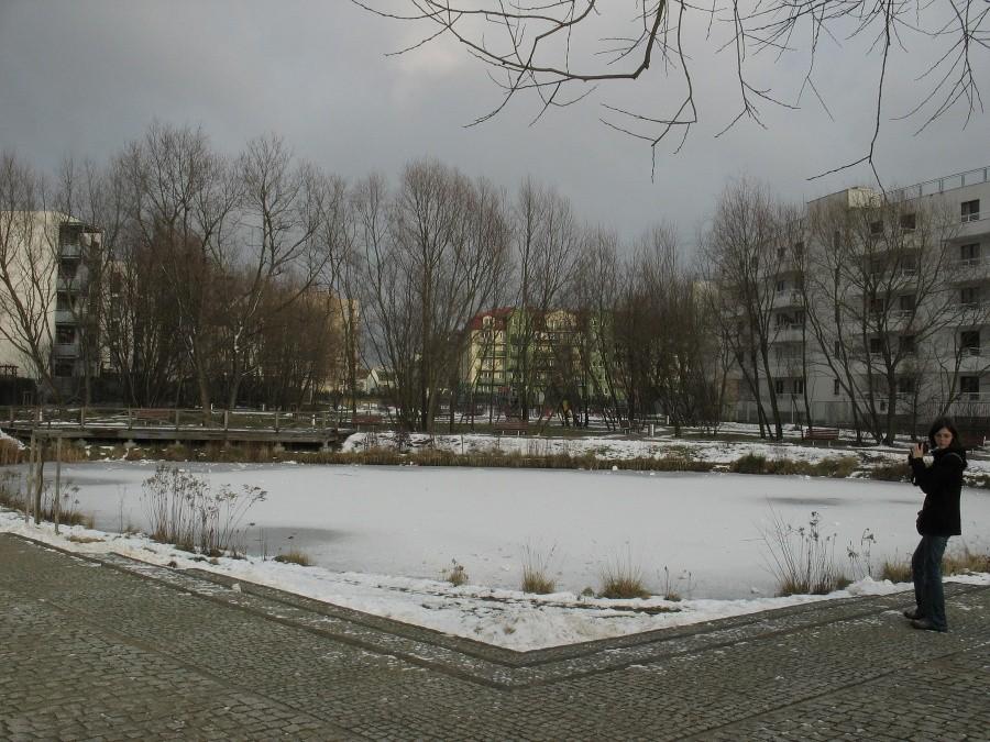 Ursynów - staw Moczydło 2