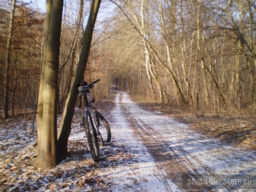 Trasa nad Jeziorem Swarzędzkim