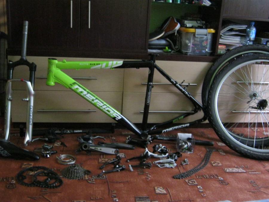 Merida na dywaniku