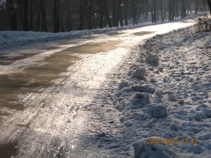 Wypatrując miejsc nie oblodzonych