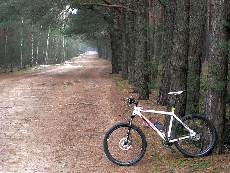 droga z Kołaty nad Jezioro Stęszewskie
