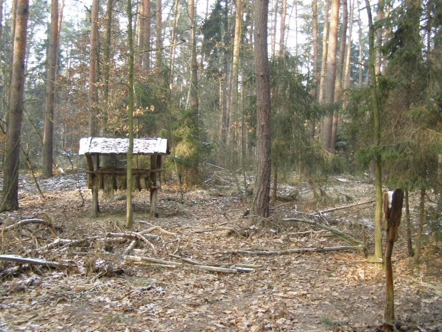 Paśnik Na Lisich Jamach