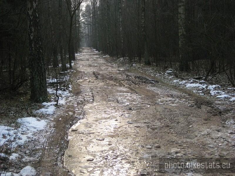 wspomniane fatalne drogi leśne