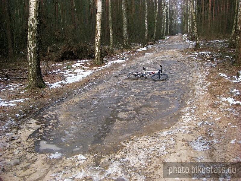 Na jednej z setek zamarzniętych kałuż w lesie