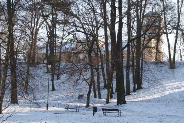 park zimową porą