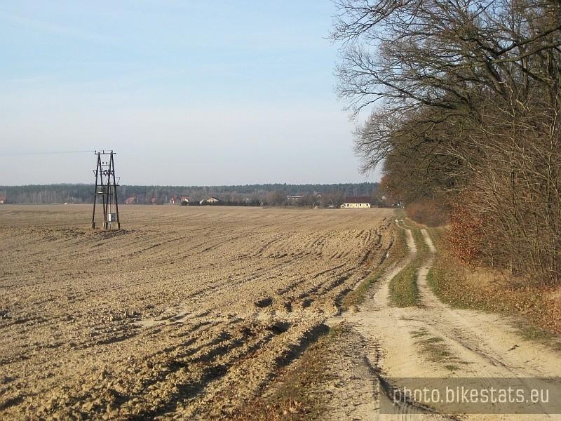 Puszcza Zielonka na wyciągnięcie ręki