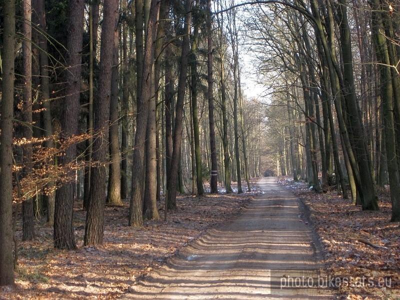 fragment niebieskiego szlaku Ludwikowo - Tuczno