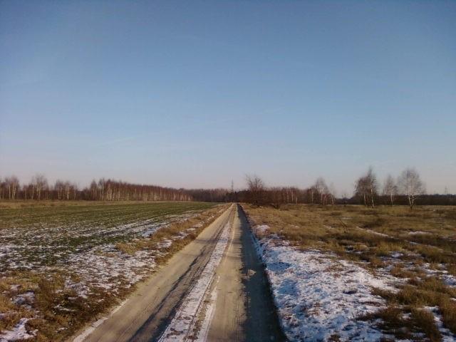 Przez pole...