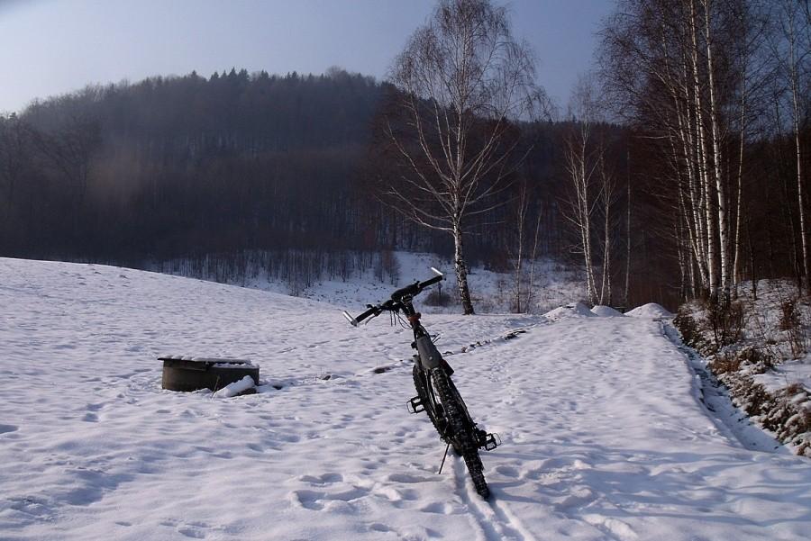 Gdzieś w lesie