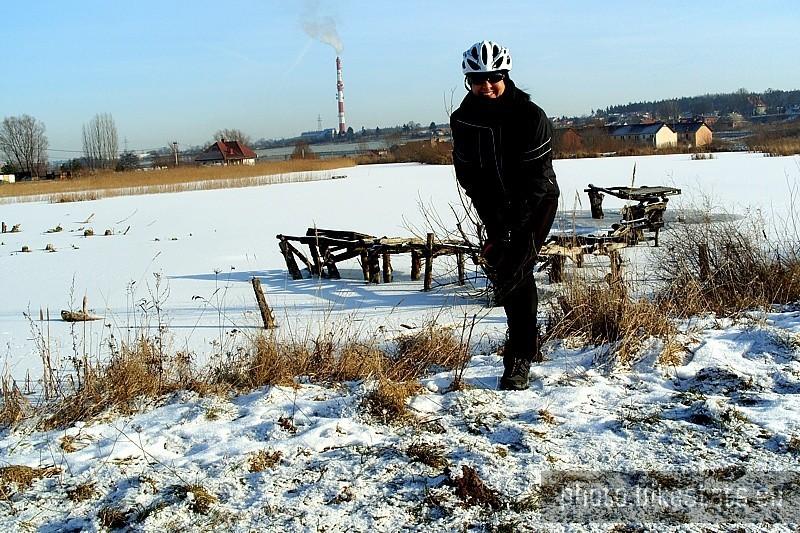 Zimowo… w tle zamarznięty staw rybny.