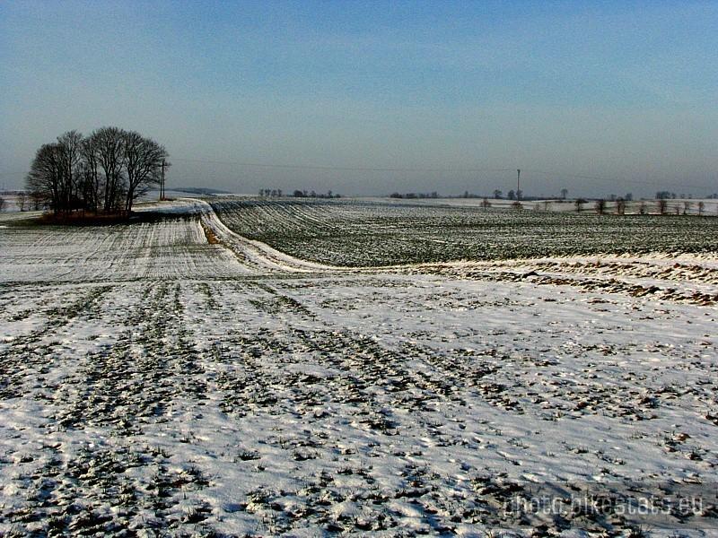 Zimowe pole…