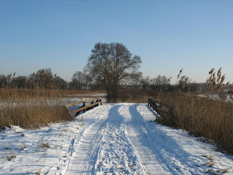 Gołków - mostek na Jeziorce
