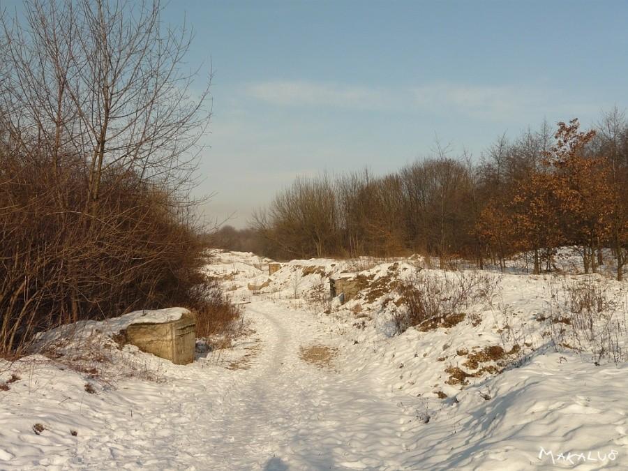Przez hałdy w Brzezinach Śl.