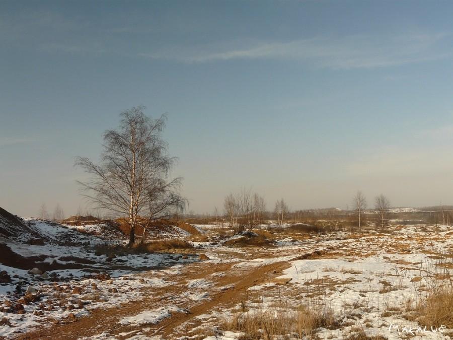 Hałdy w Brzezinach Śl.