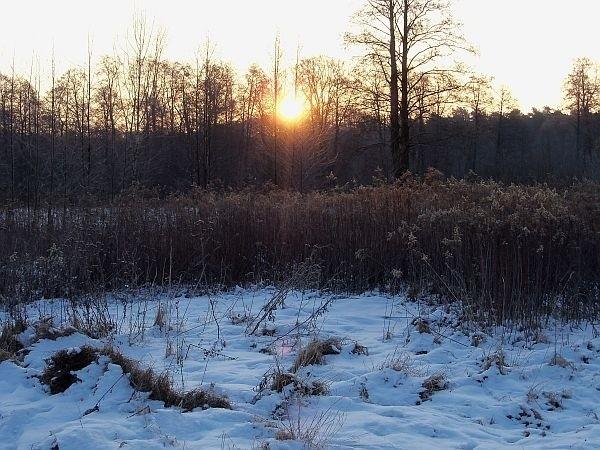 Znowu słońce
