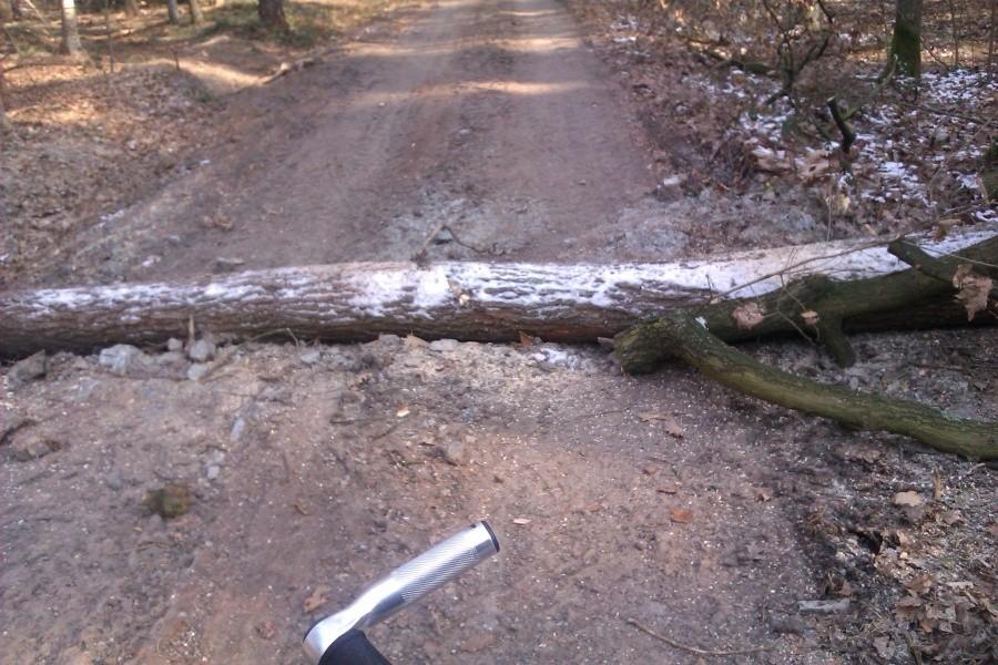 Naturalny próg zwalniający.