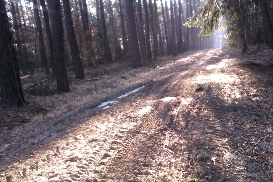 Wyboiste ścieżki..