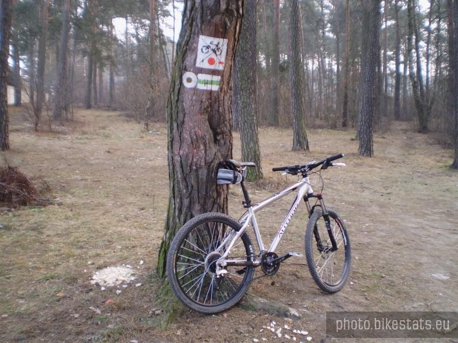 Początek czerwonego szlaku przy ul. Borowej