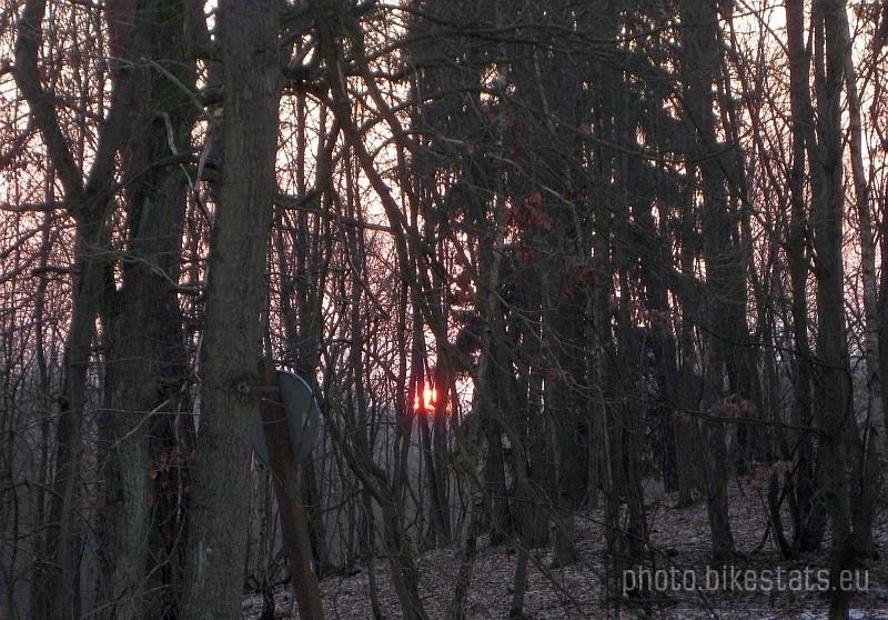 leśny zachód Słońca nieopodal osady Ludwikowo w Puszczy Zielonka